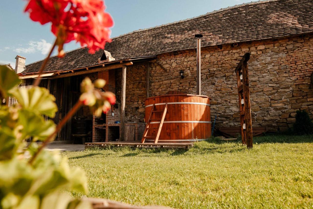Casa Pe Valea Hartibaciului Guest House Barcut Eksteriør bilde