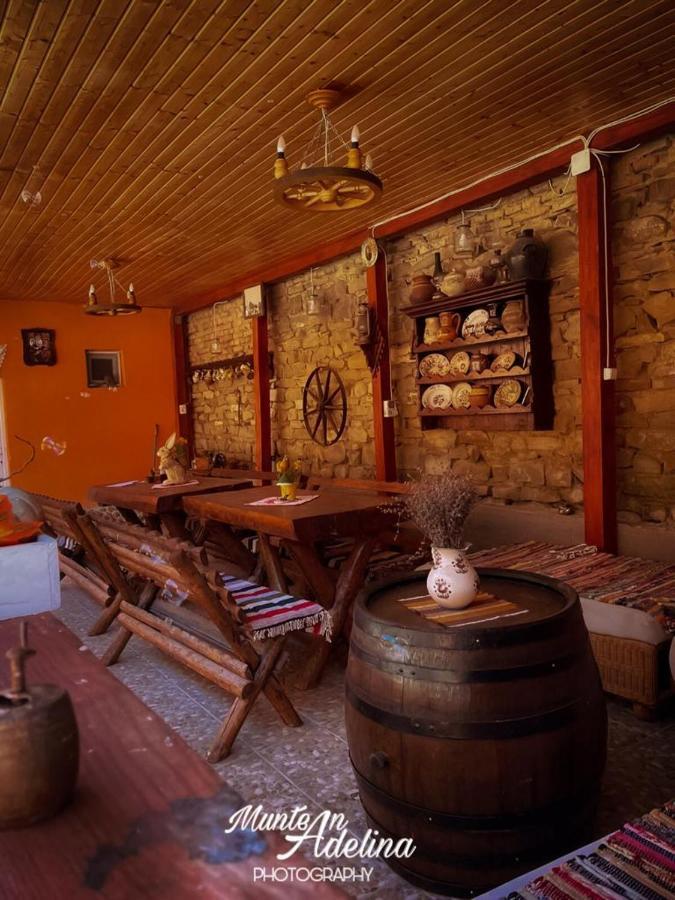 Casa Pe Valea Hartibaciului Guest House Barcut Eksteriør bilde
