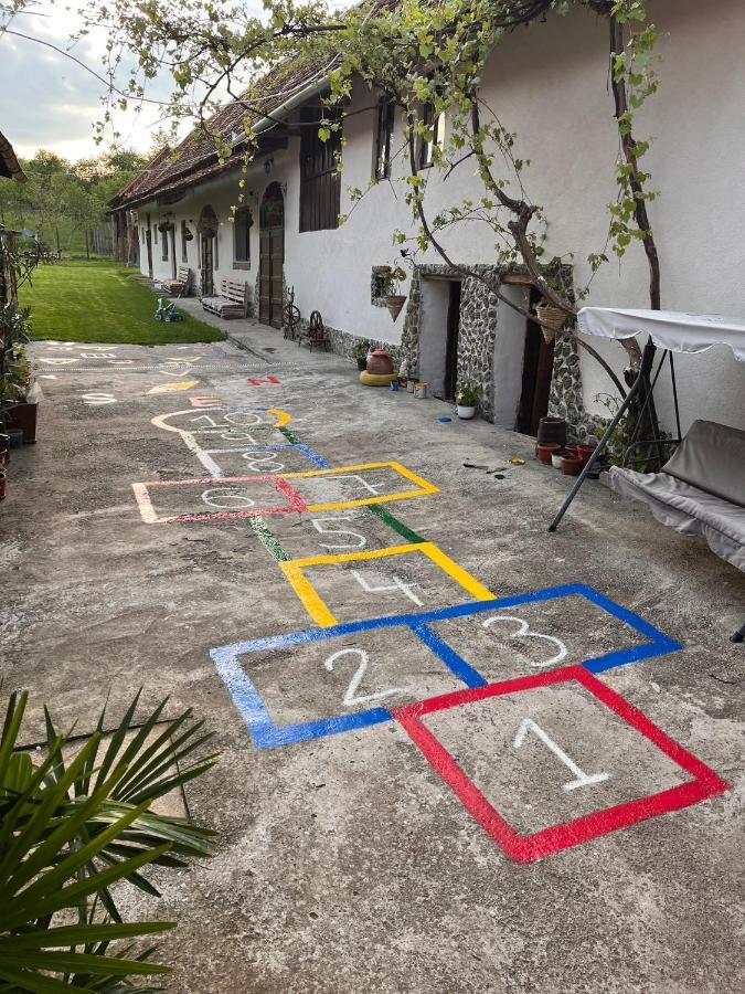 Casa Pe Valea Hartibaciului Guest House Barcut Eksteriør bilde