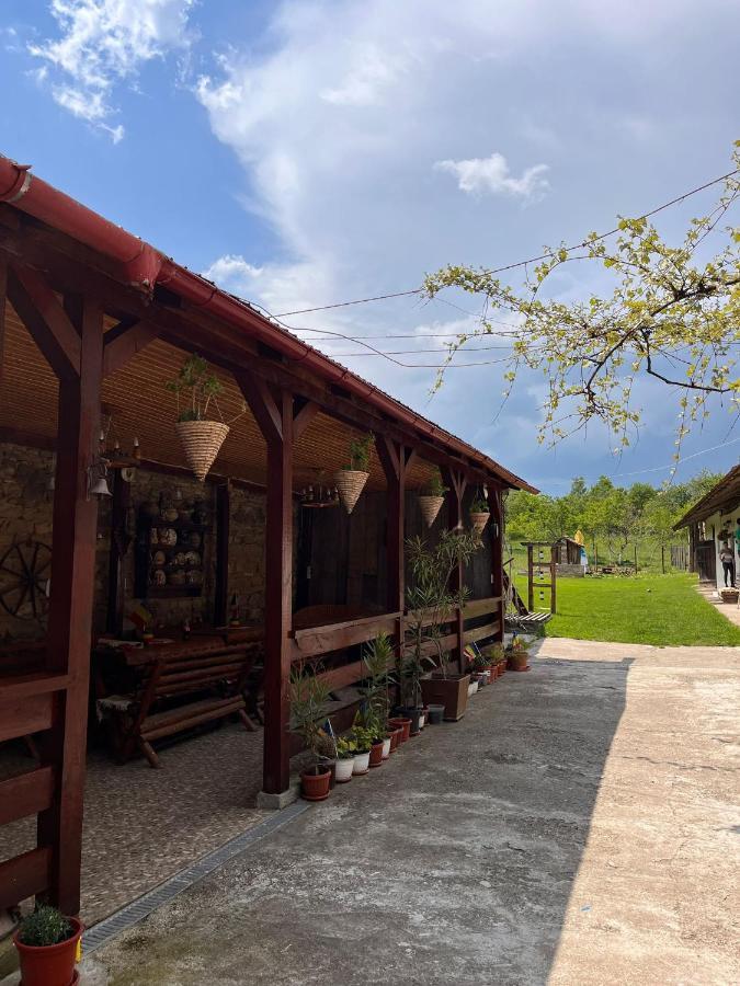 Casa Pe Valea Hartibaciului Guest House Barcut Eksteriør bilde