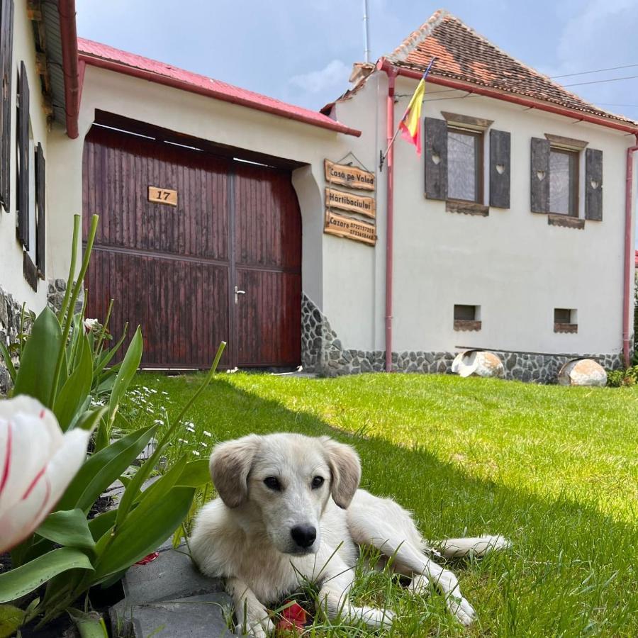 Casa Pe Valea Hartibaciului Guest House Barcut Eksteriør bilde