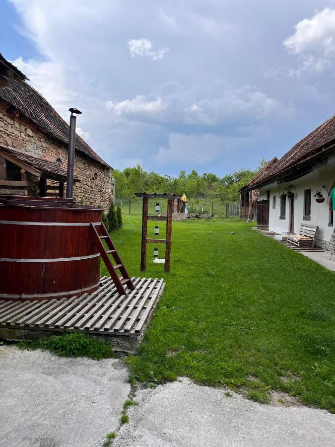 Casa Pe Valea Hartibaciului Guest House Barcut Eksteriør bilde